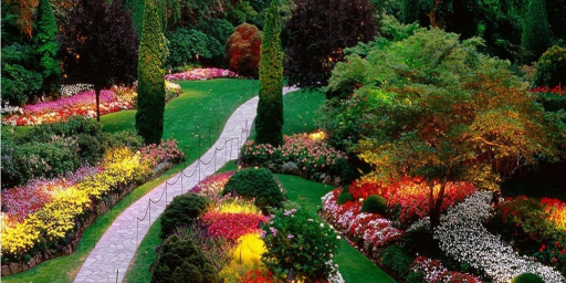 a nice garden